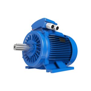 MOTOR TRIFASICO RM-T2-6F-05000-250-36 50HP - 3X380VCA - 6 POLOS