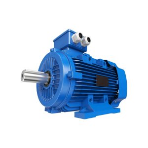 MOTOR TRIFASICO RM-T2-6A-00033-712-23 0.33HP - 3X380VCA - 6 POLOS