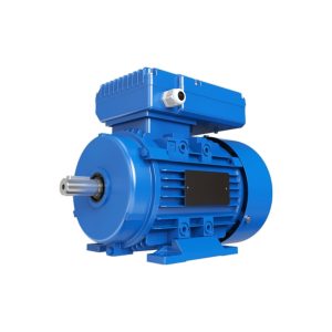 MOTOR TRIFASICO RM-T2-6A-00100-90S-23 1HP - 3X380VCA - 6 POLOS