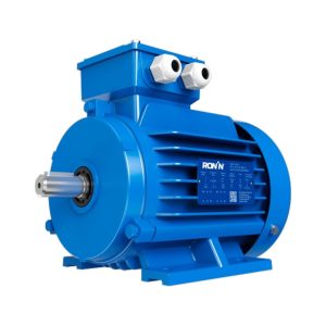MOTOR TRIFASICO RM-T2-6F-00200-100-23 2HP - 3X380VCA - 6 POLOS