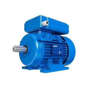 MOTOR TRIFASICO RM-T2-4F-00200-90L-23 2HP - 3X380VCA - 4 POLOS