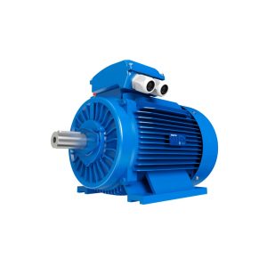 MOTOR TRIFASICO RM-T2-6F-03000-200-36 30HP - 3X660VCA - 6 POLOS