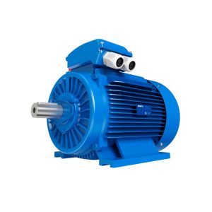 MOTOR TRIFASICO RM-T2-6F-04000-225-36 40HP - 3X660VCA - 6 POLOS