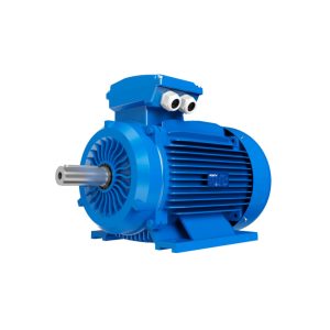 MOTOR TRIFASICO RM-T2-6F-02500-200-36 25HP - 3X660VCA - 6 POLOS