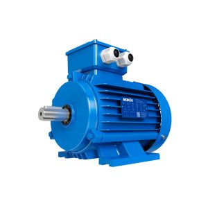 MOTOR TRIFASICO RM-T2-6F-01000-160-36 10HP - 3X660VCA - 6 POLOS