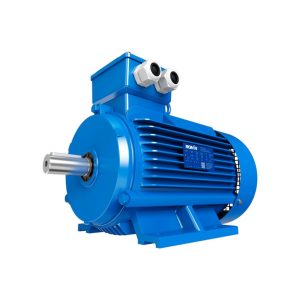 MOTOR TRIFASICO RM-T2-2A-00050-711-23 0.5HP - 3X380VCA - 2 POLOS