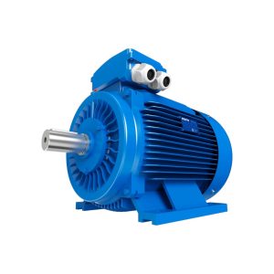 MOTOR TRIFASICO RM-T2-4A-00025-632-23 0.25HP - 3X380VCA - 4 POLOS