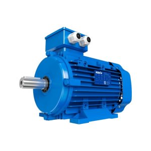 MOTOR TRIFASICO RM-T2-4A-00033-711-23 0.33HP - 3X380VCA - 4 POLOS
