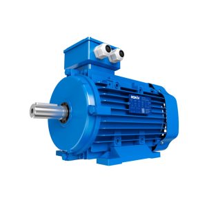 MOTOR MONOFASICO RM-M1-4A-00400-100-02 4HP - 220VCA - 4 POLOS