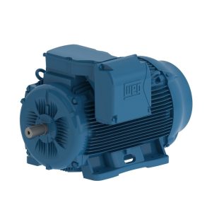 MOTOR TRIFASICO ELECTRICO 125HP - 3X660VCA - 4 POLOS